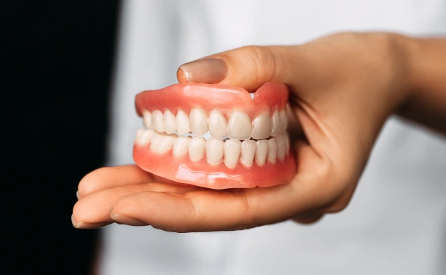 Hand holding full denture teeth model against dark background, demonstrating dental prosthetics.